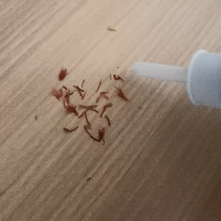 LIMPIADOR DE OÍDOS ELÉCTRICO